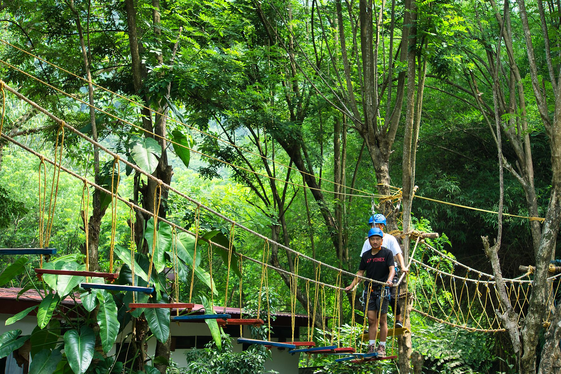 High Rope challenge course in Sikkim